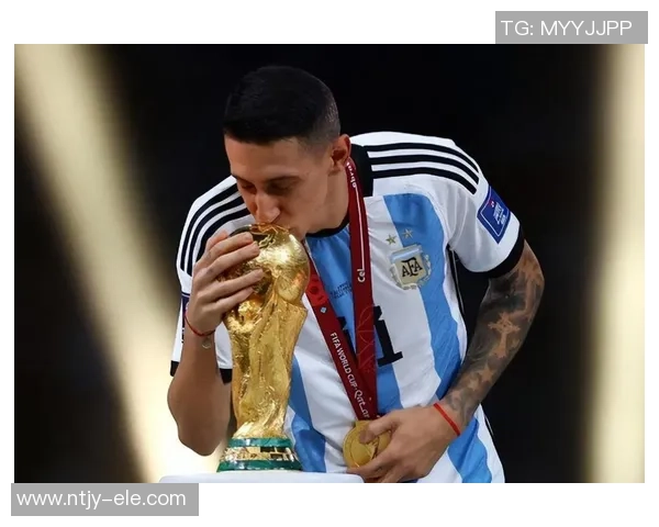 世界杯点评:杭州网球队的实力表现 世界杯点评:杭州网球队的实力表现