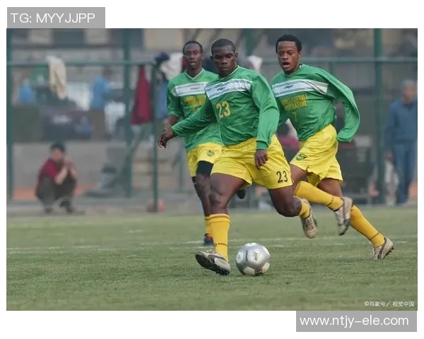 nl足球的魅力与发展探索如何在全球舞台上崭露头角