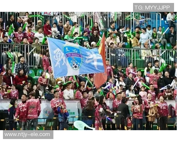 文山足球群的崛起与发展探索以及对地方足球文化的影响分析