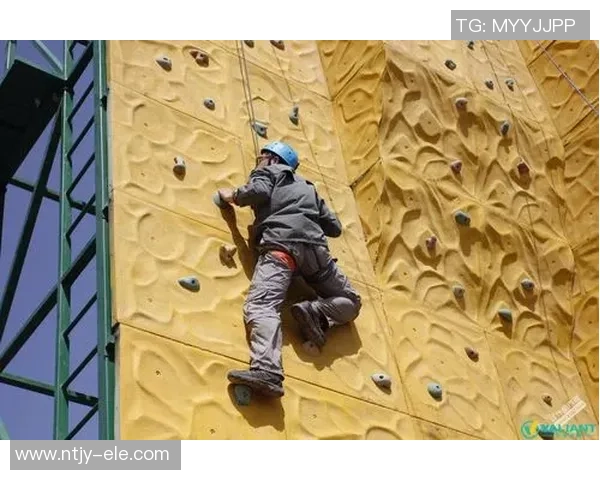 武汉攀岩队在全国速度排行榜中荣获第四名展现出强大实力与团队精神