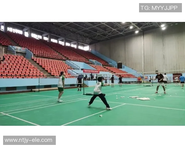 西安羽毛球队的深度探索与控制策略揭秘