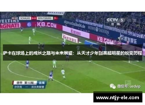 萨卡在球场上的成长之路与未来展望：从天才少年到英超明星的蜕变历程