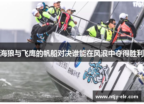 海狼与飞鹰的帆船对决谁能在风浪中夺得胜利